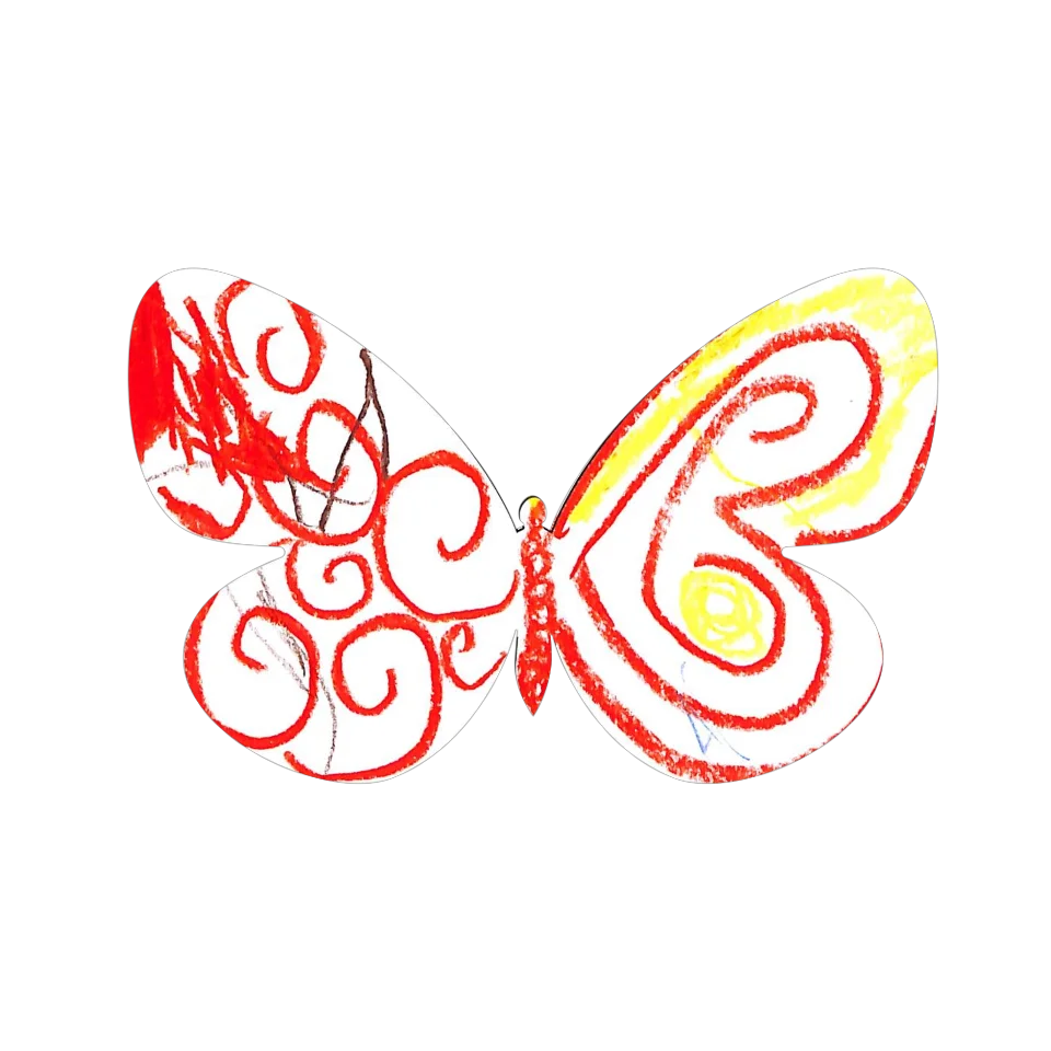 Original Butterfly Image