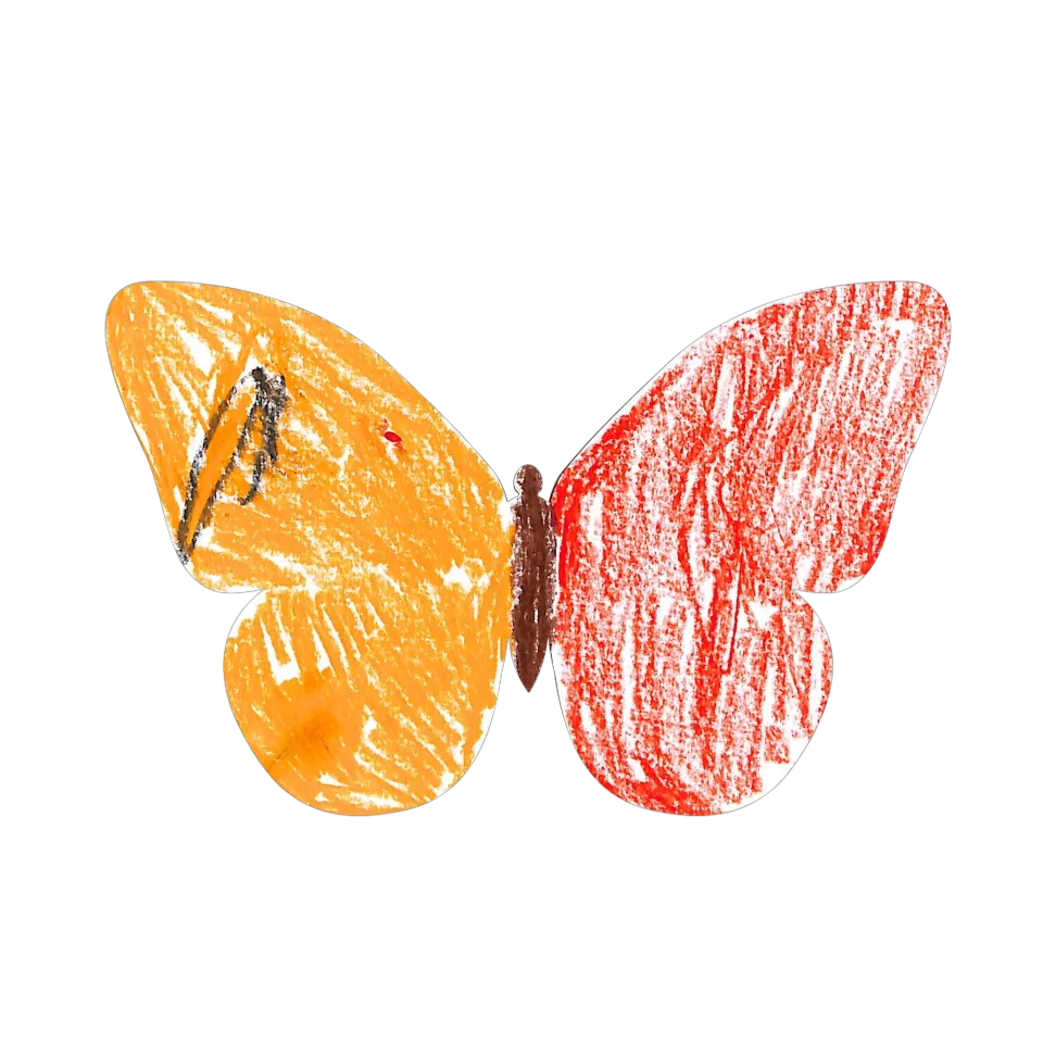 Original Butterfly Image