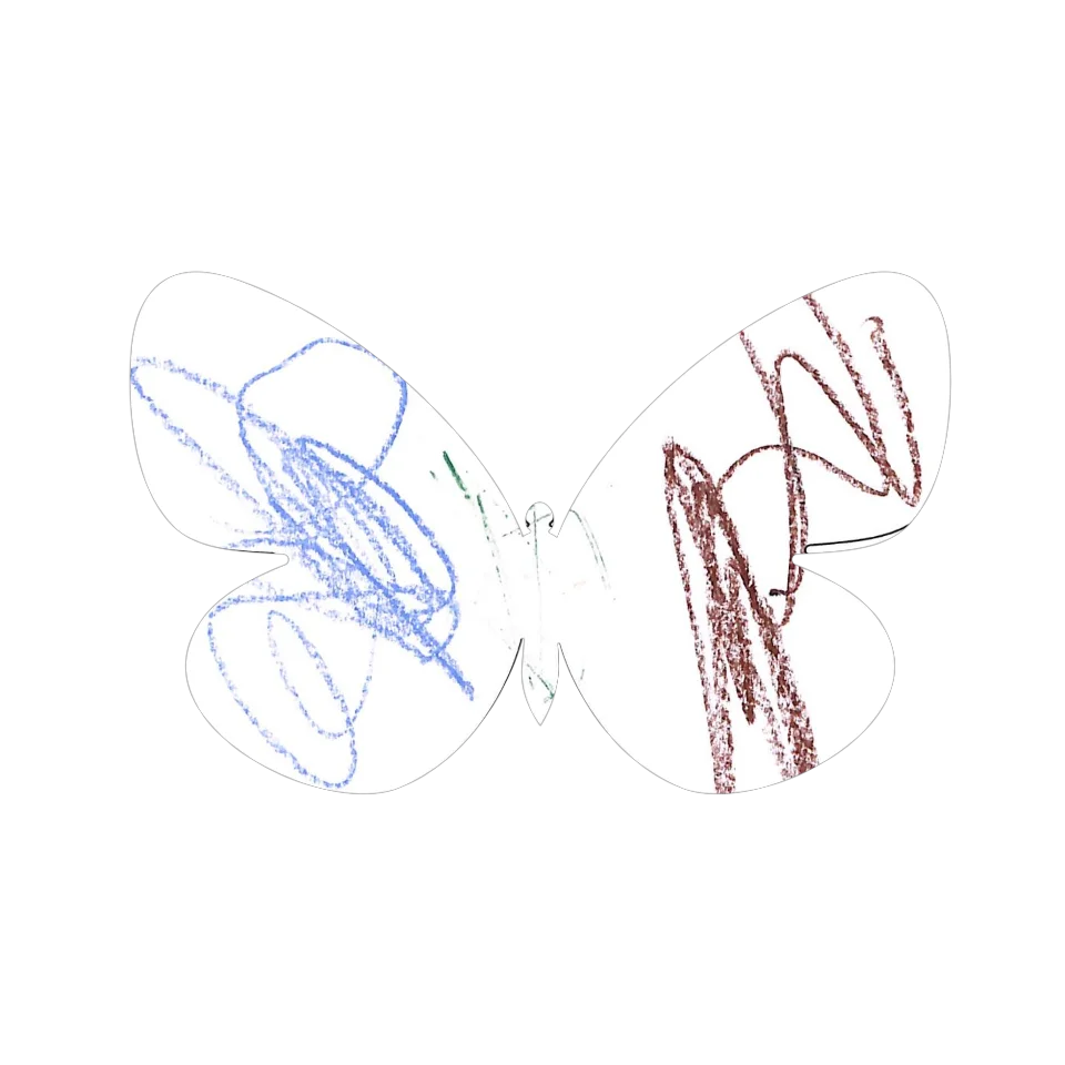 Original Butterfly Image