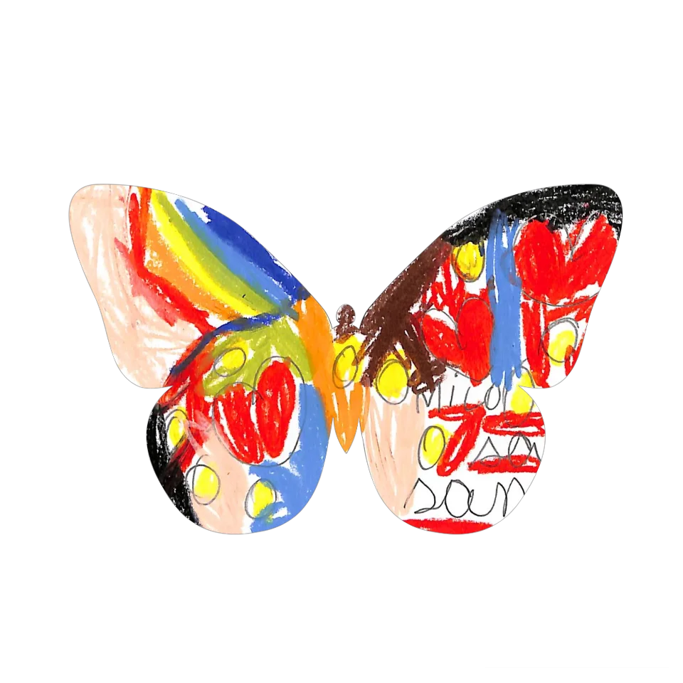 Original Butterfly Image