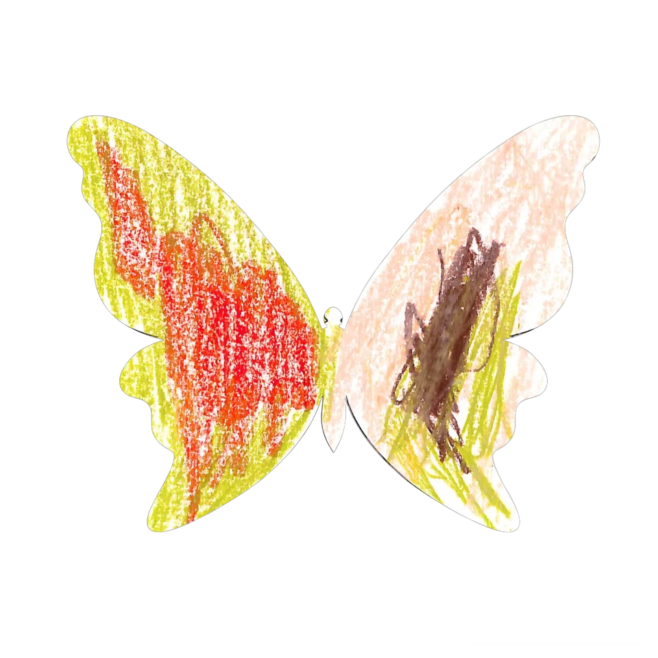 Original Butterfly Image