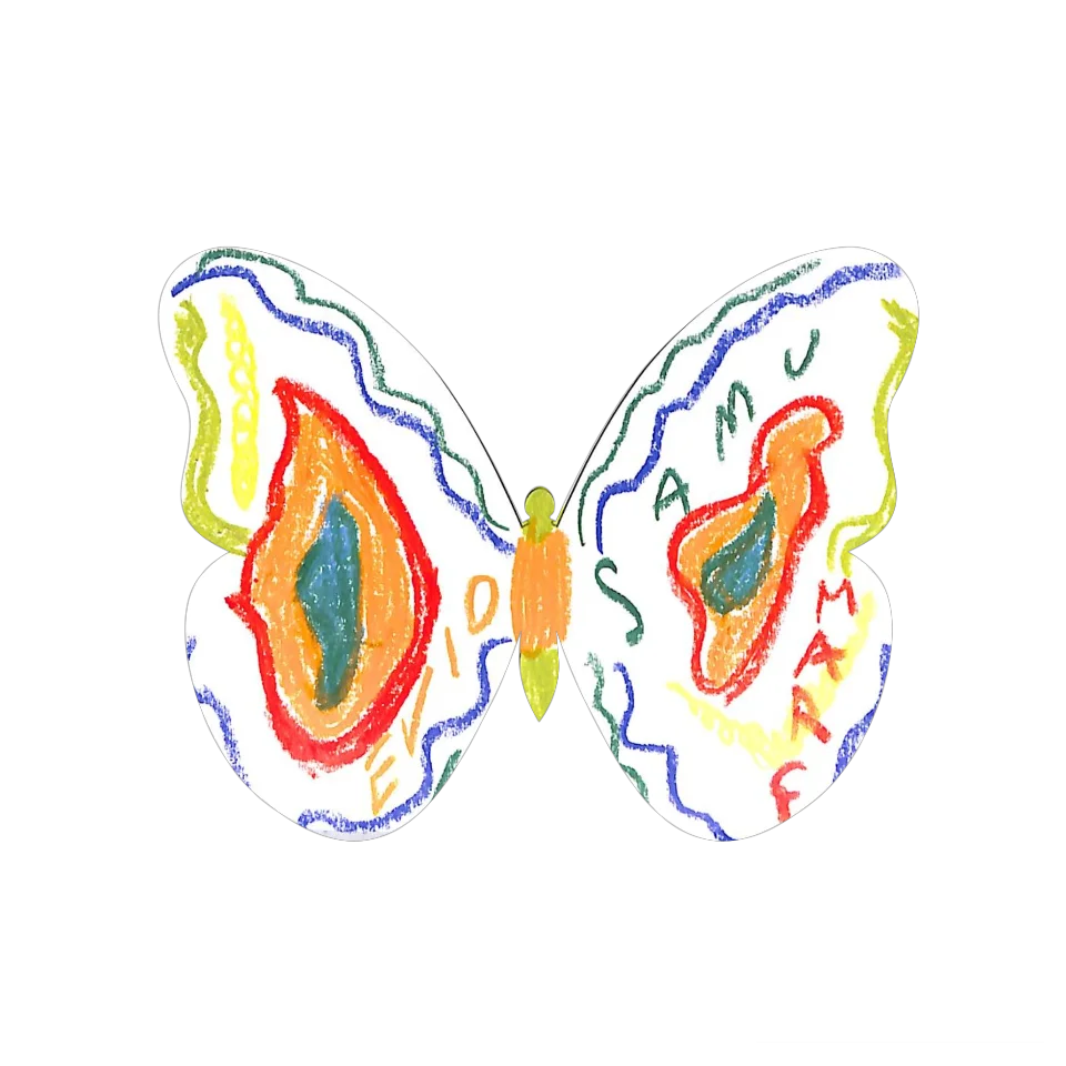 Original Butterfly Image