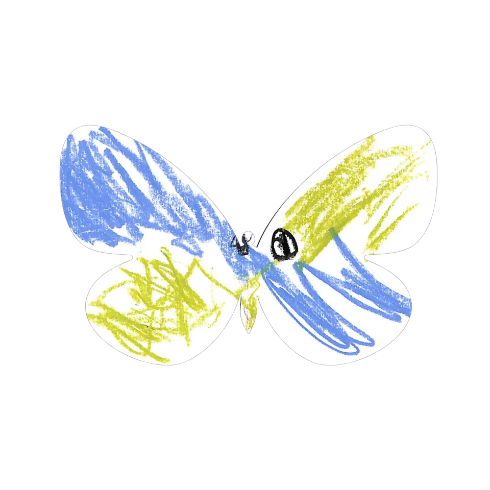 Original Butterfly Image