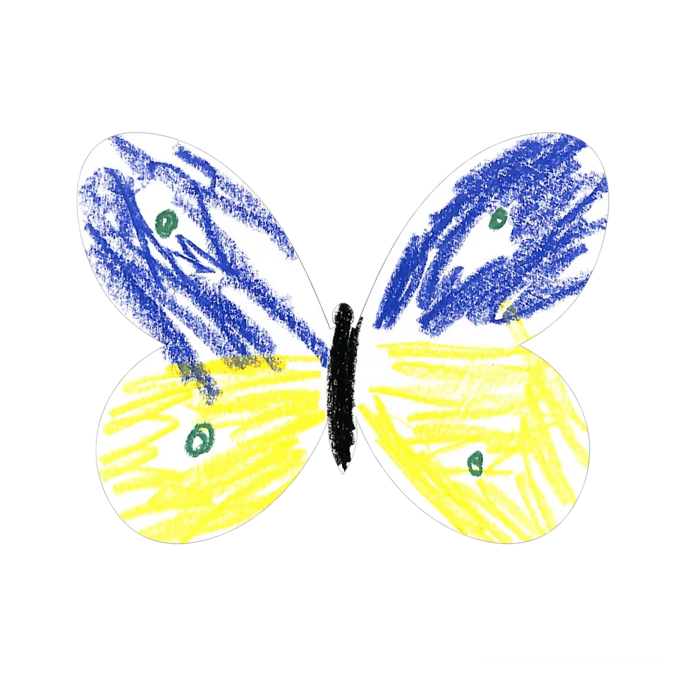 Original Butterfly Image