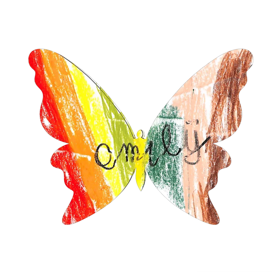 Original Butterfly Image