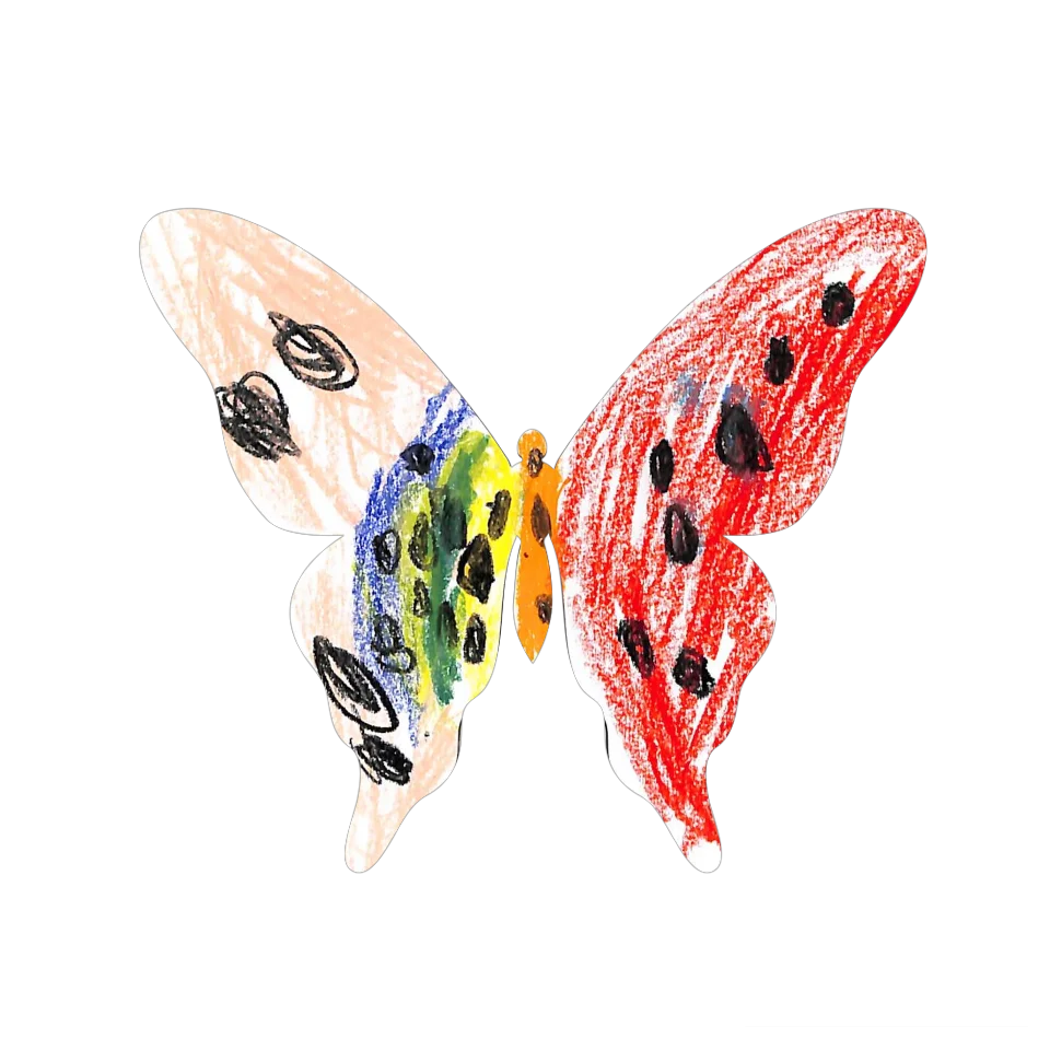 Original Butterfly Image