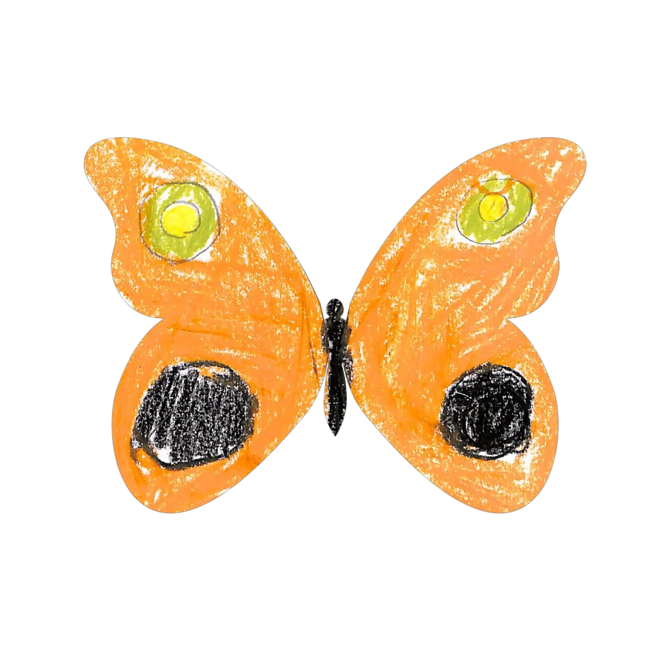 Original Butterfly Image