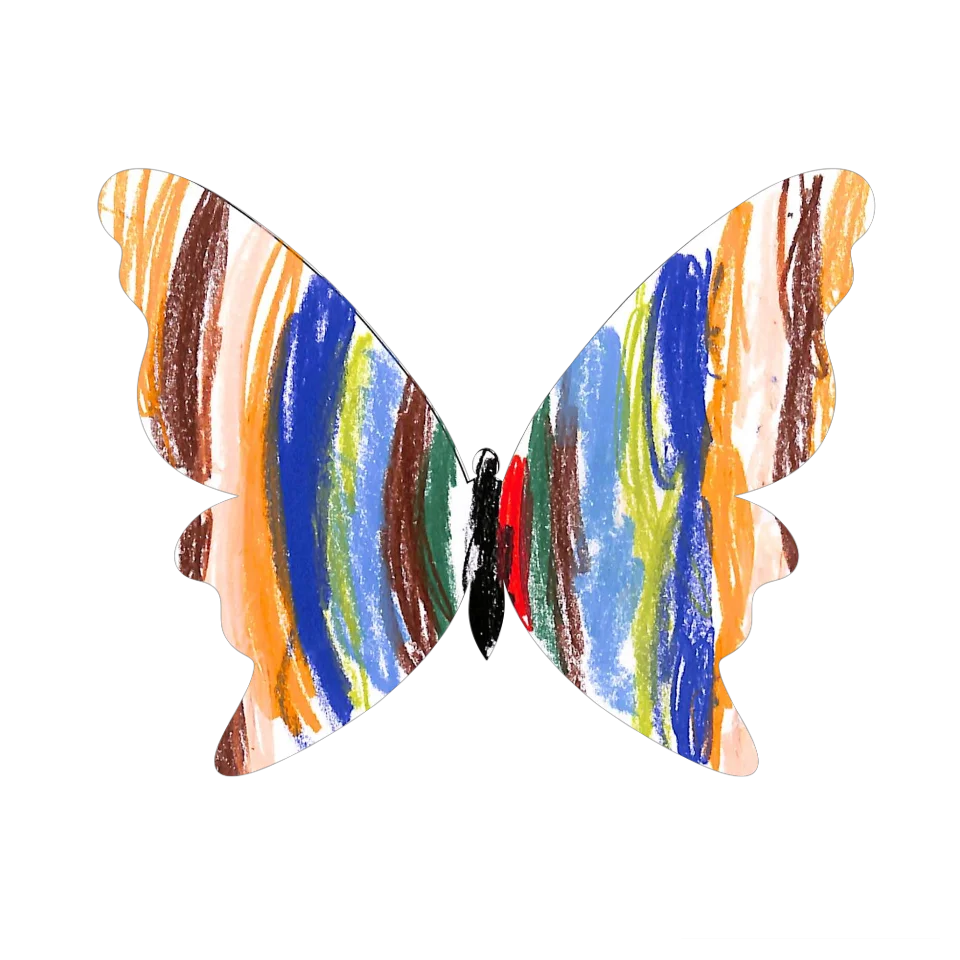 Original Butterfly Image