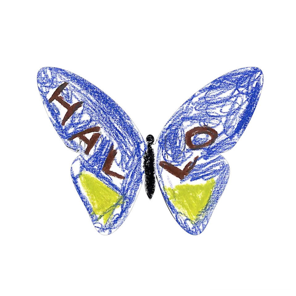Original Butterfly Image