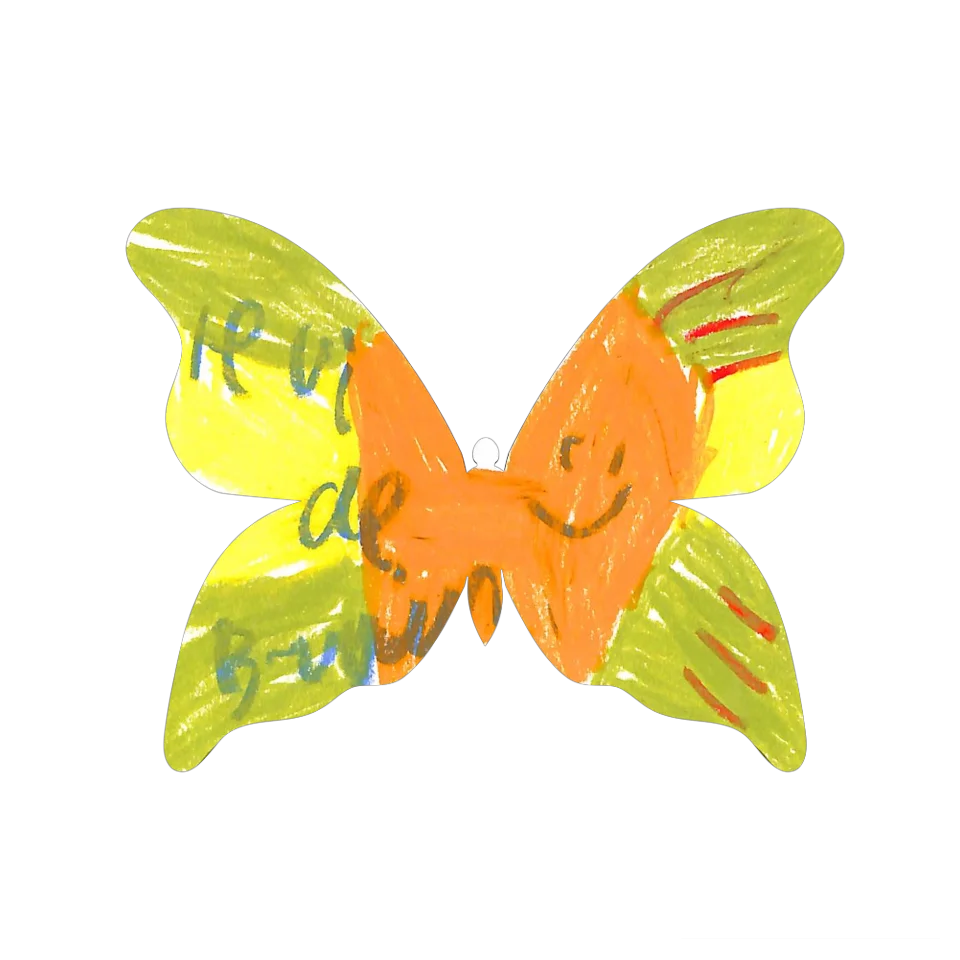 Original Butterfly Image