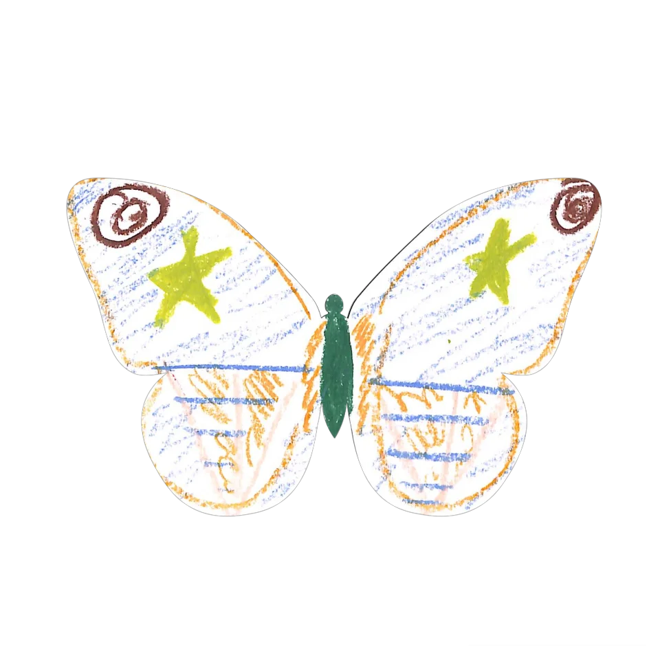 Original Butterfly Image
