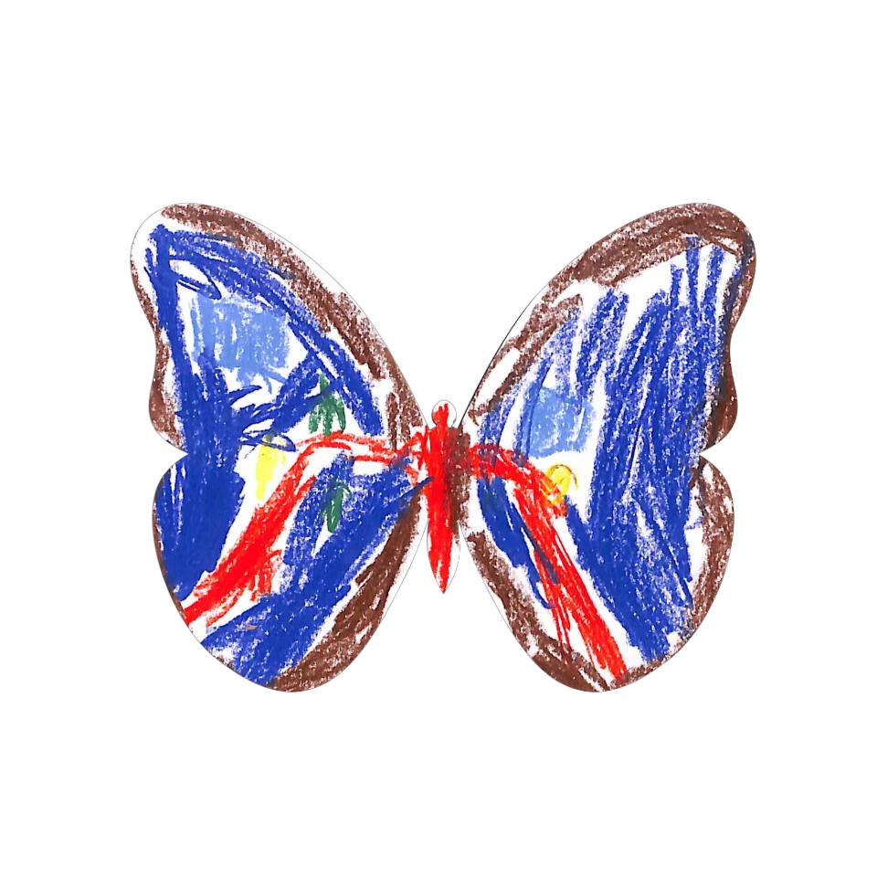 Original Butterfly Image