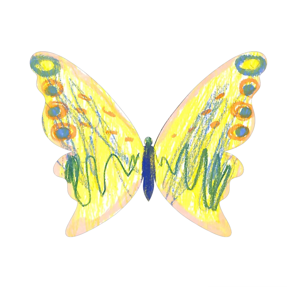 Original Butterfly Image
