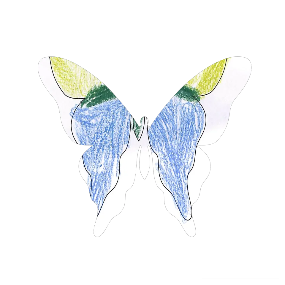 Original Butterfly Image
