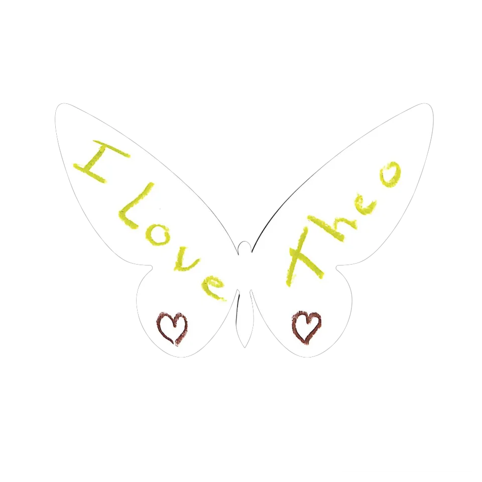 Original Butterfly Image
