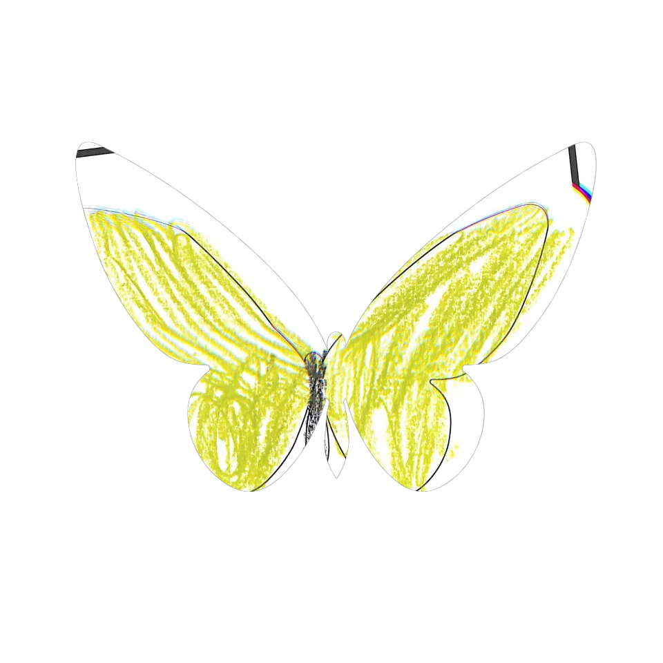 Original Butterfly Image