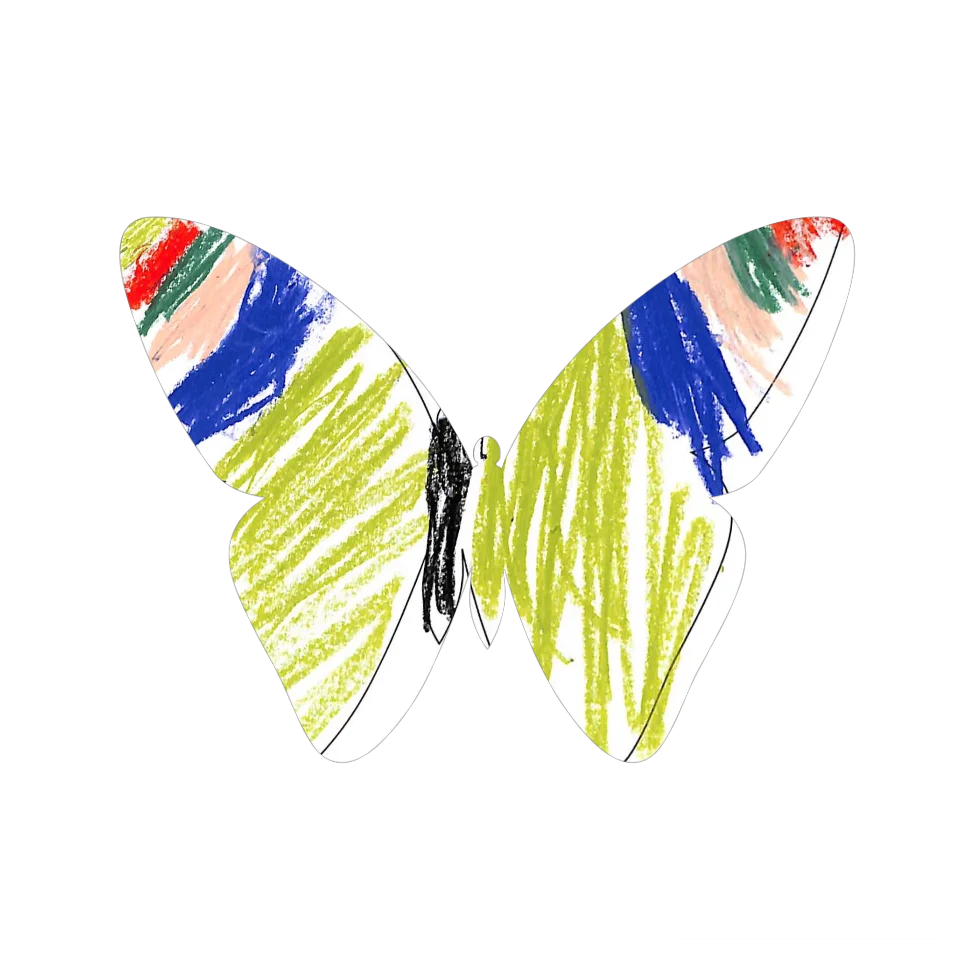 Original Butterfly Image