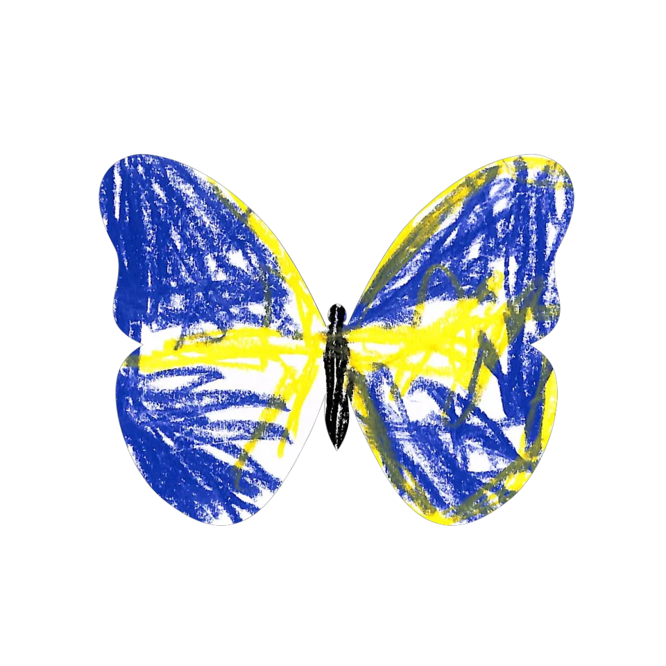 Original Butterfly Image