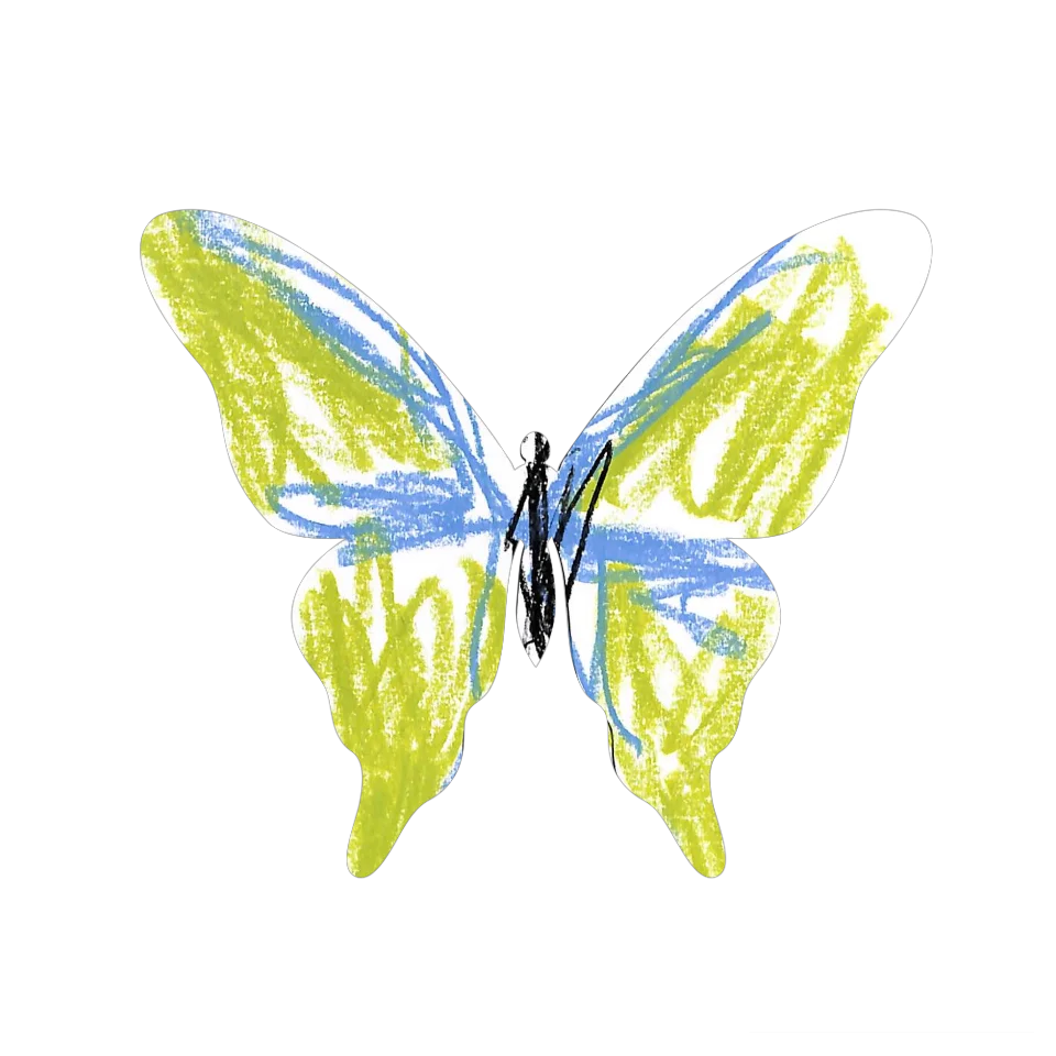 Original Butterfly Image