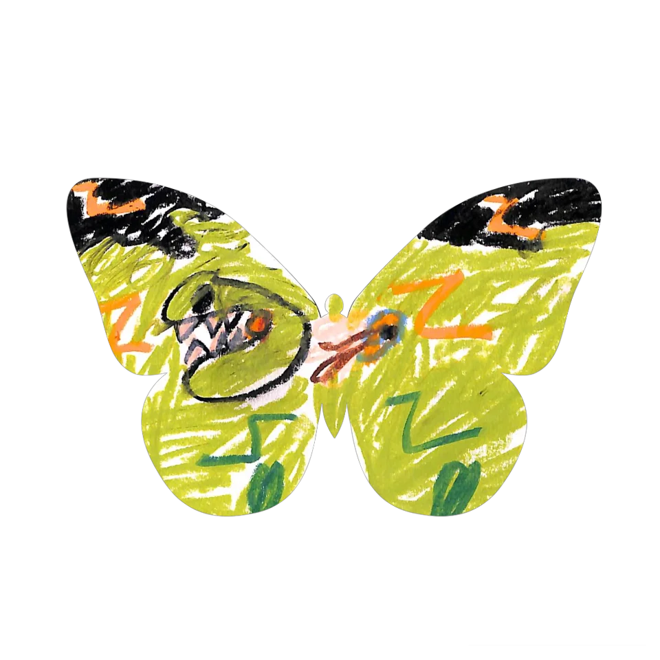 Original Butterfly Image
