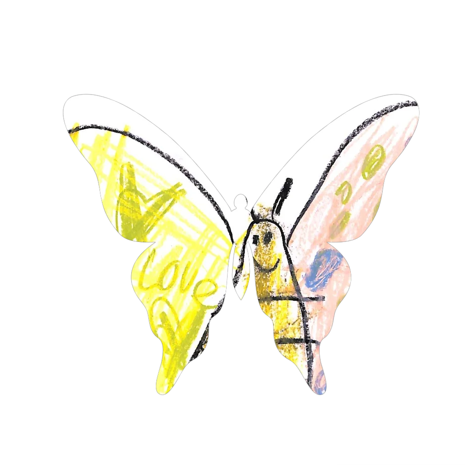 Original Butterfly Image