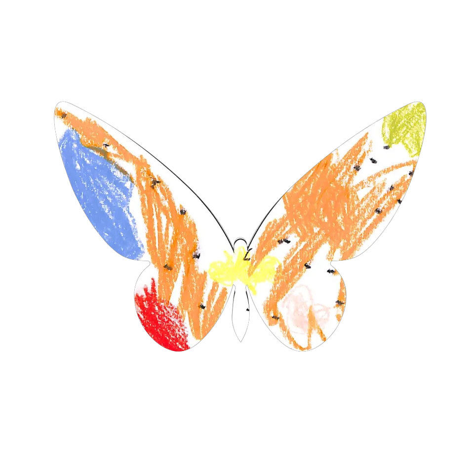 Original Butterfly Image