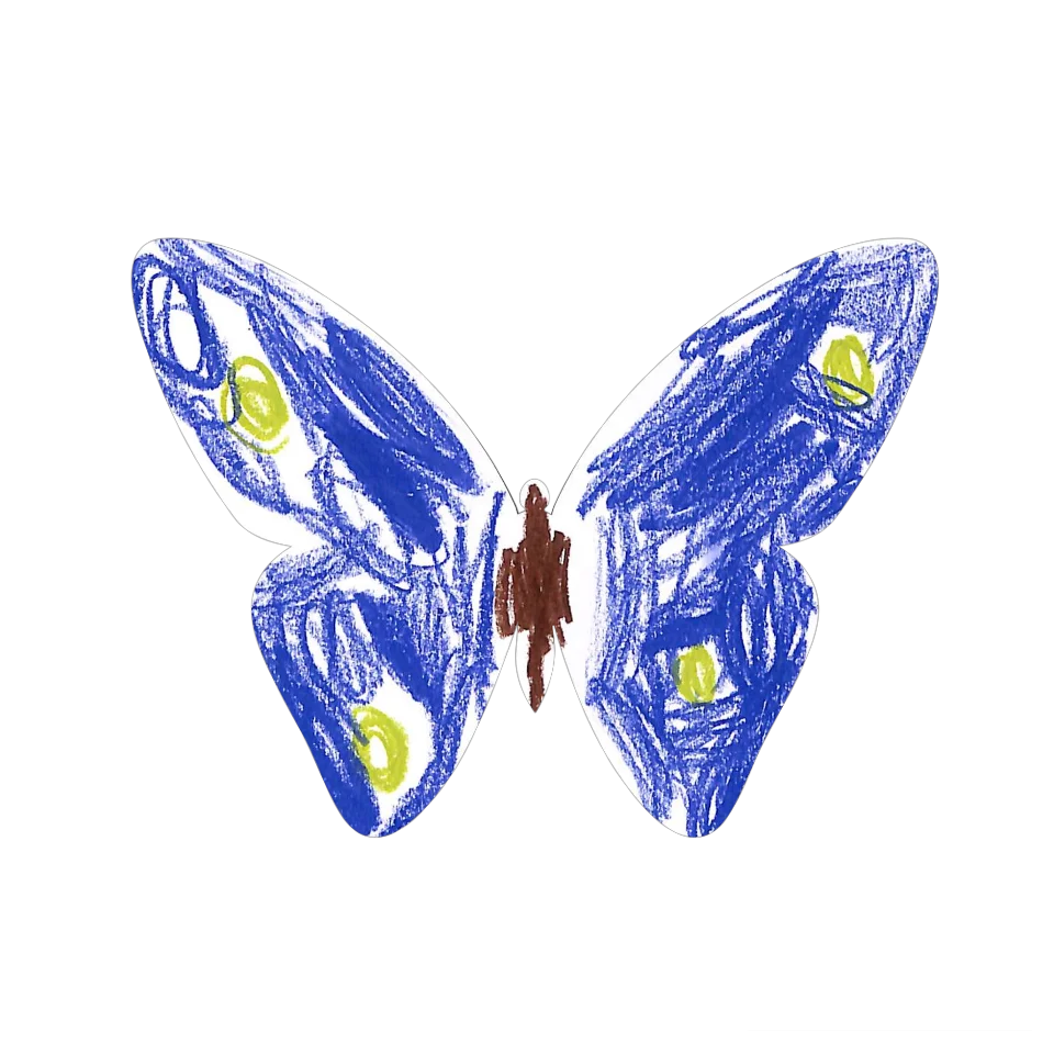 Original Butterfly Image