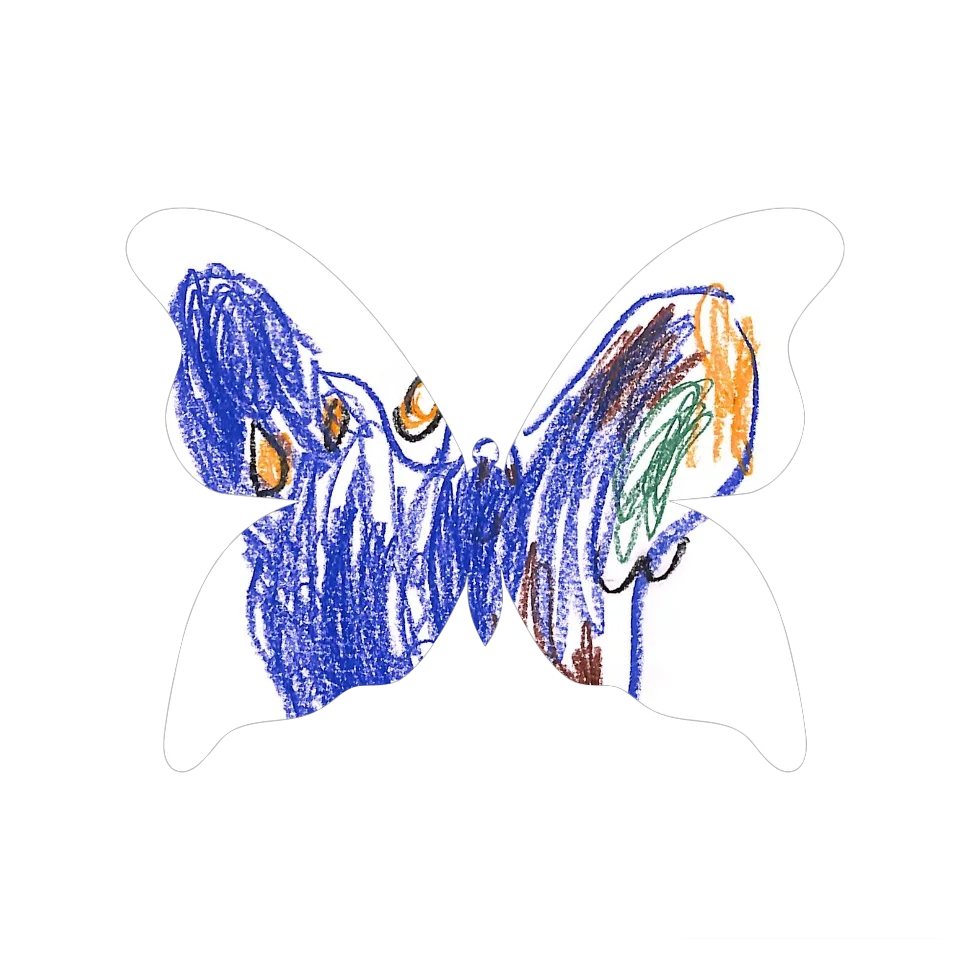 Original Butterfly Image