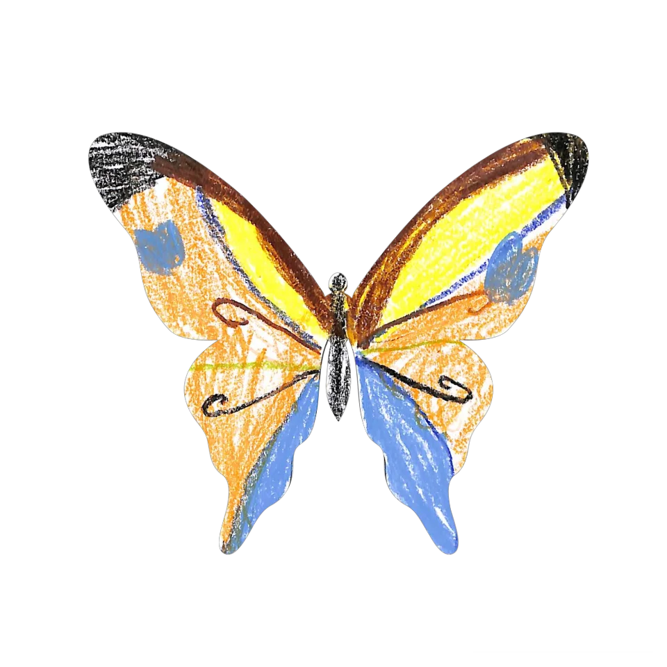 Original Butterfly Image