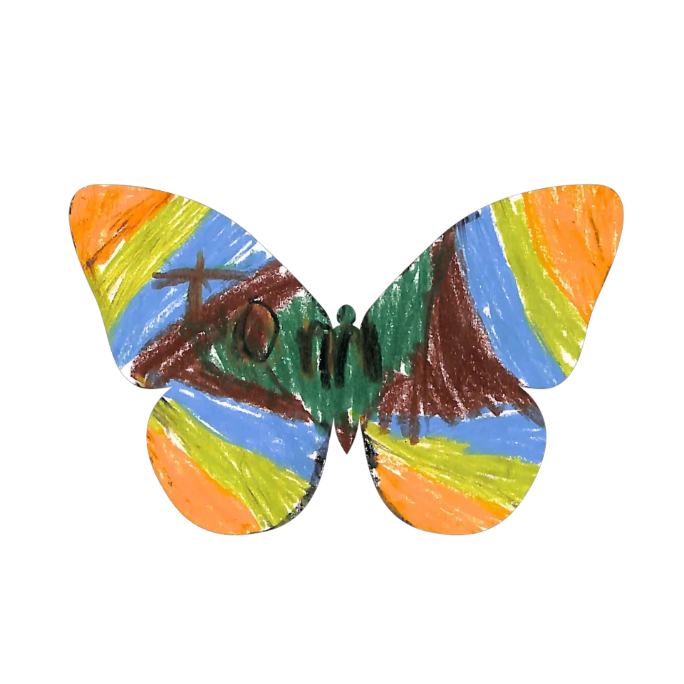 Original Butterfly Image