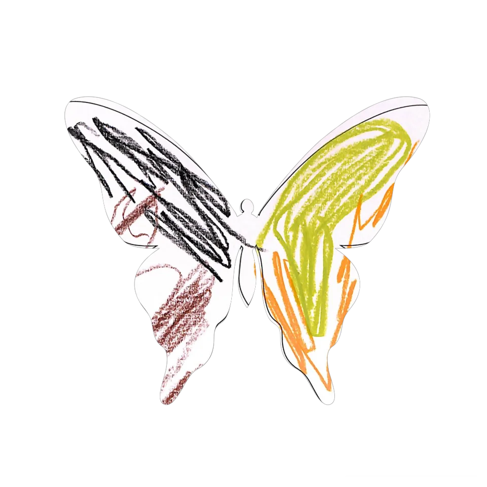 Original Butterfly Image