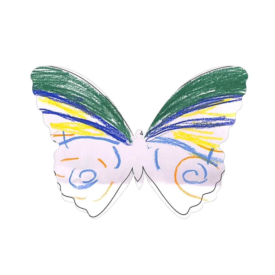Original Butterfly Image