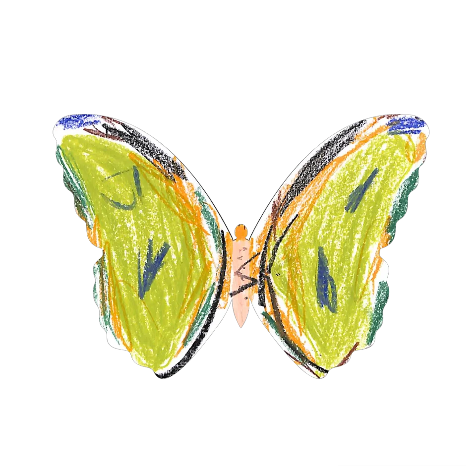 Original Butterfly Image