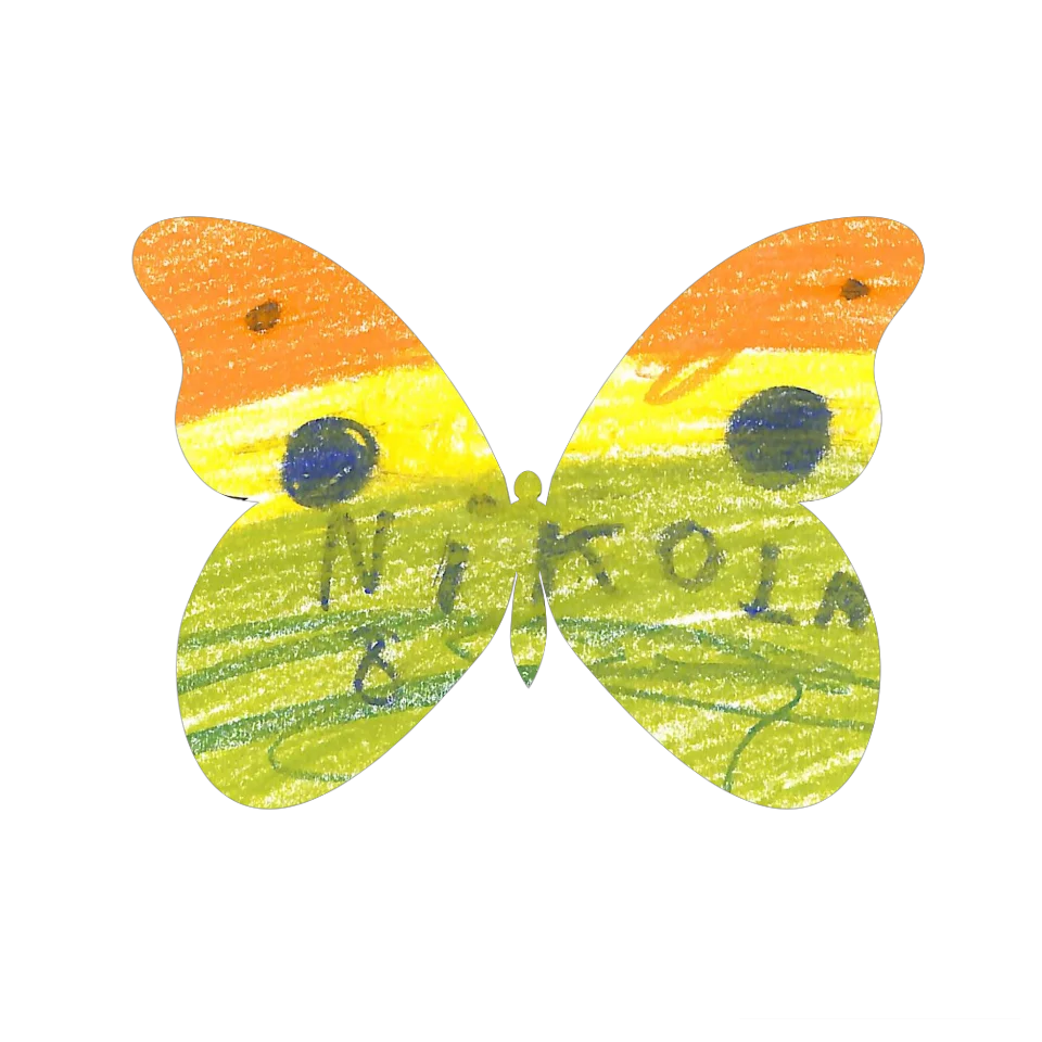 Original Butterfly Image
