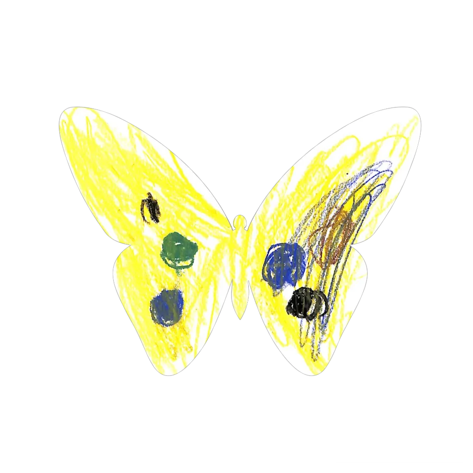 Original Butterfly Image