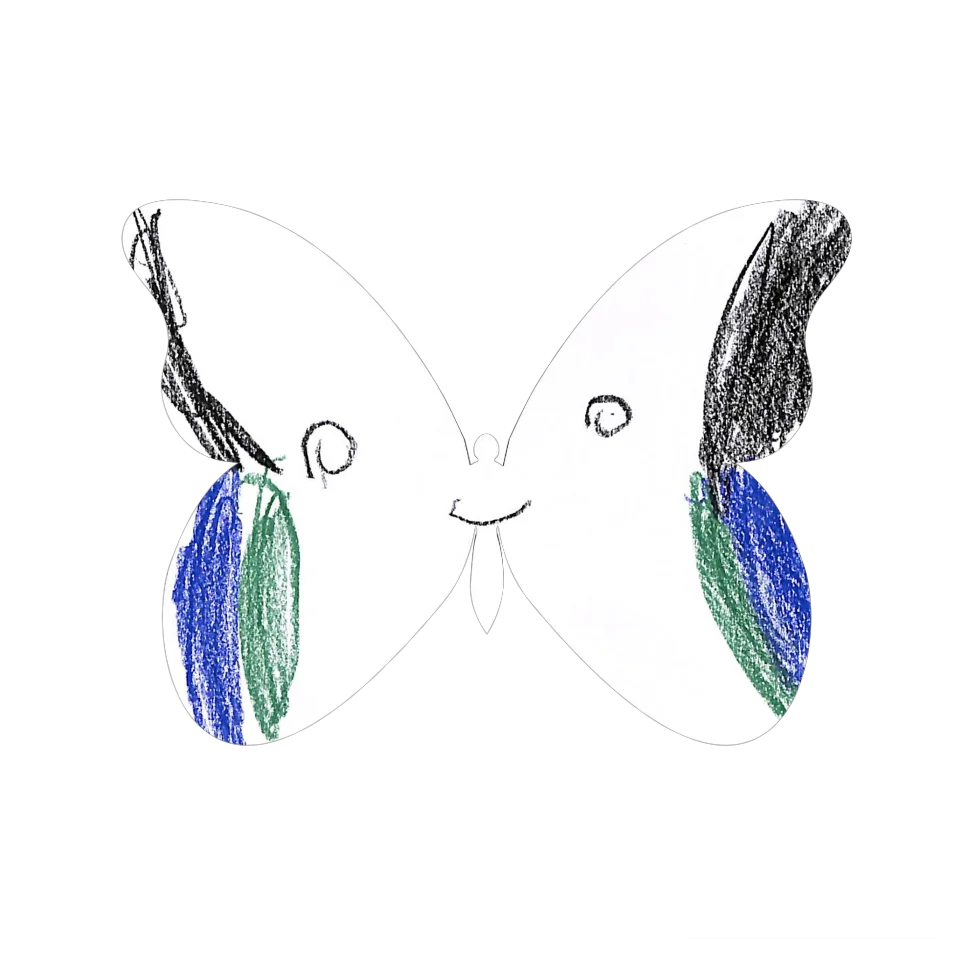 Original Butterfly Image