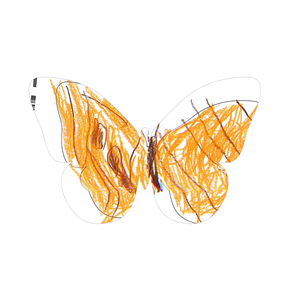 Original Butterfly Image