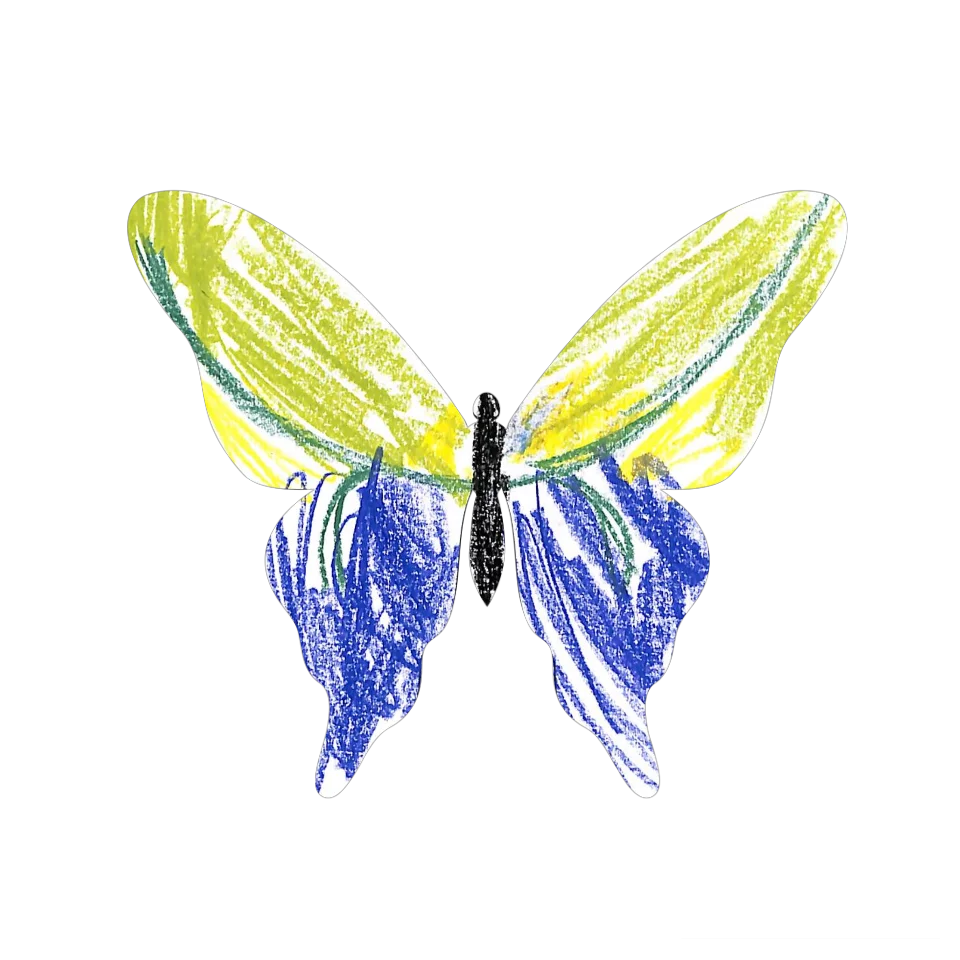 Original Butterfly Image
