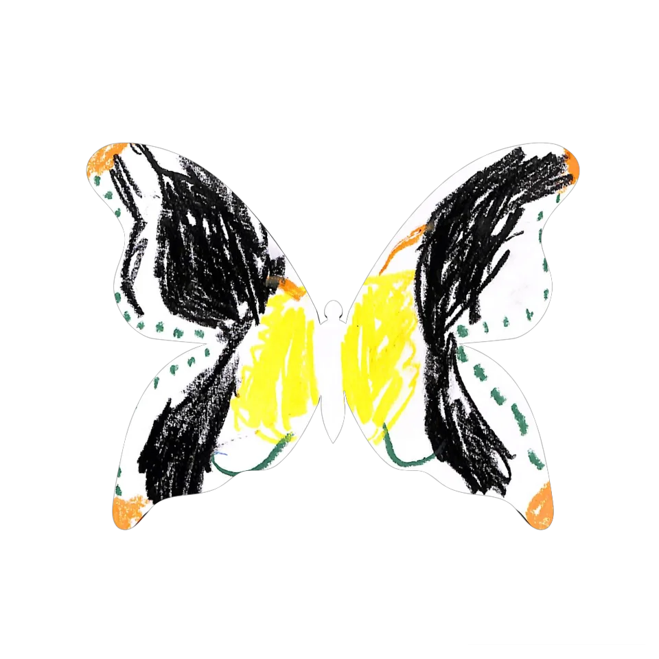 Original Butterfly Image