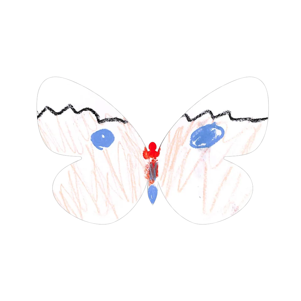 Original Butterfly Image