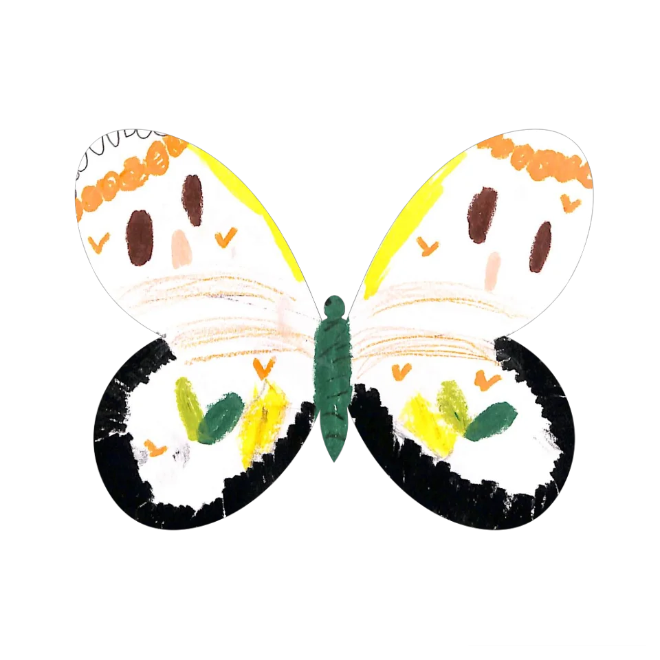 Original Butterfly Image