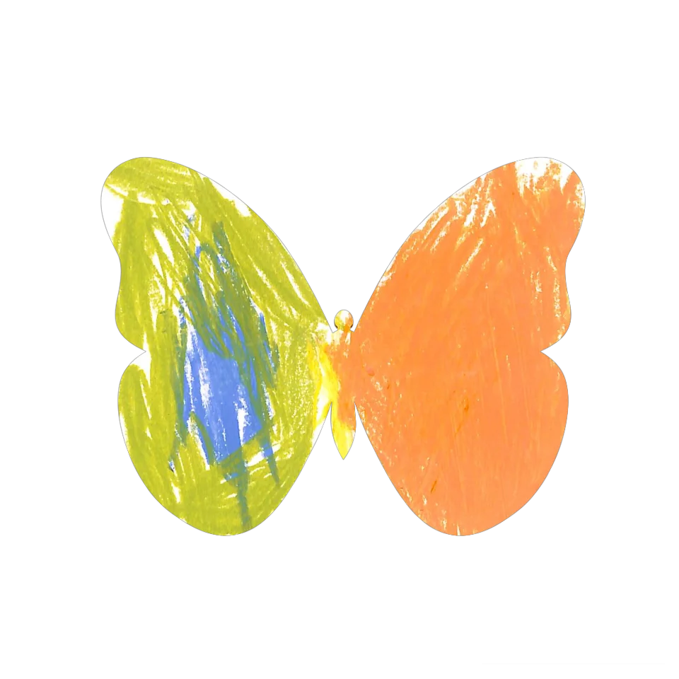 Original Butterfly Image