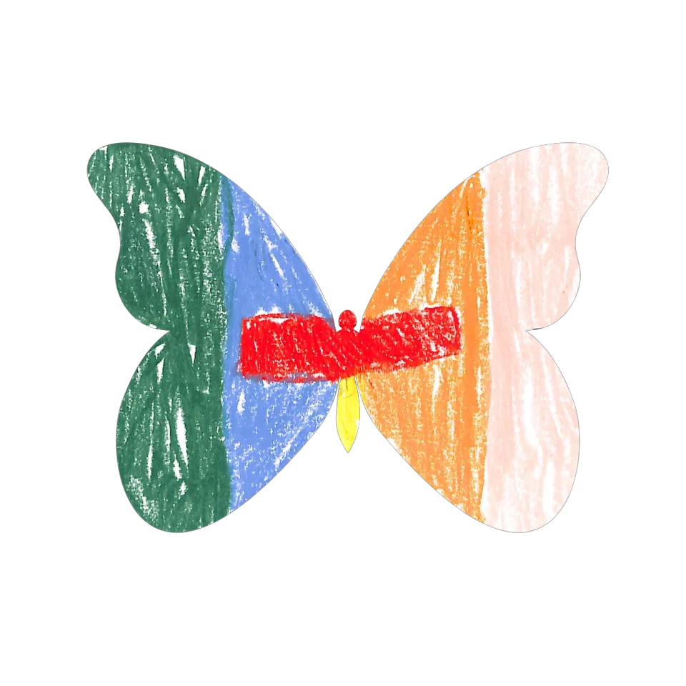 Original Butterfly Image