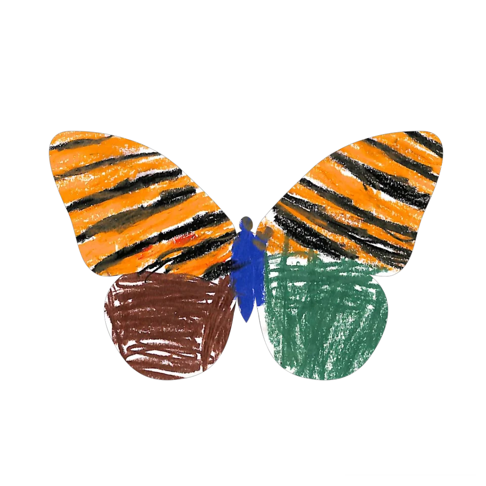 Original Butterfly Image