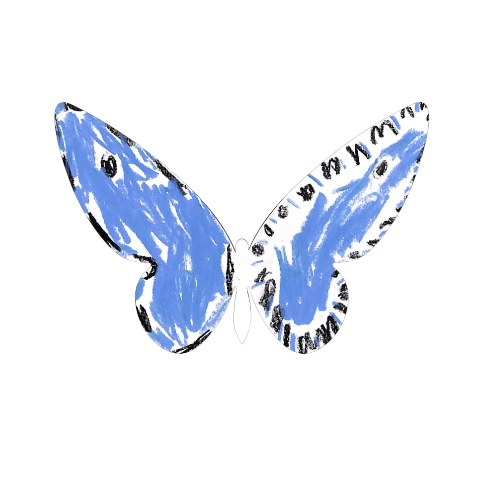 Original Butterfly Image