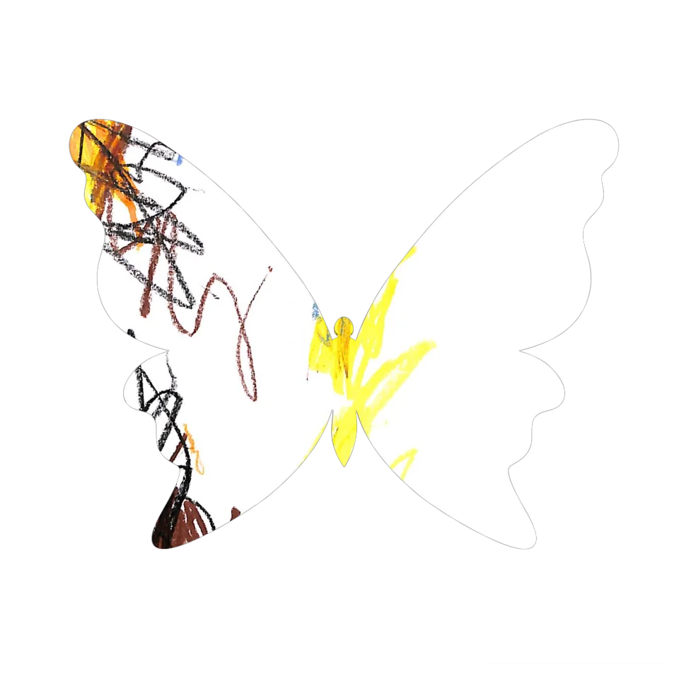 Original Butterfly Image