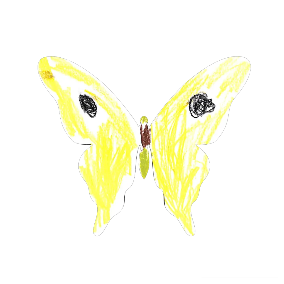 Original Butterfly Image