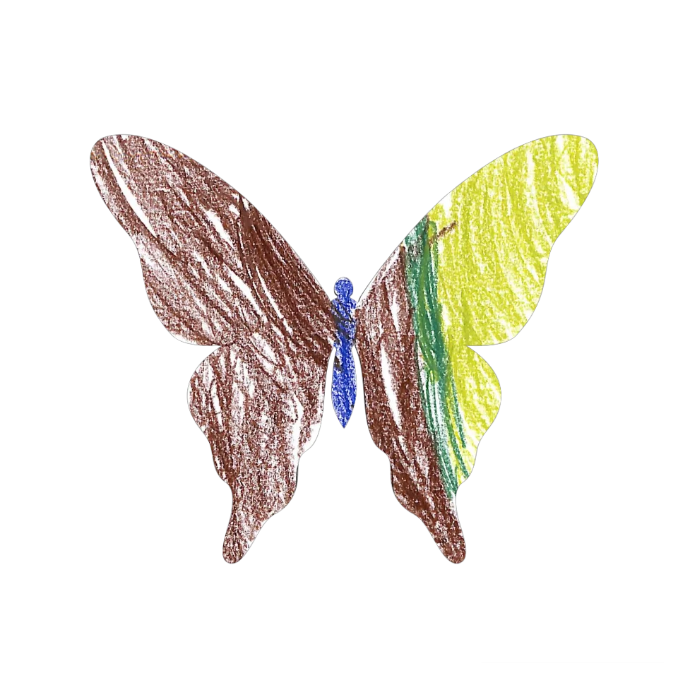 Original Butterfly Image