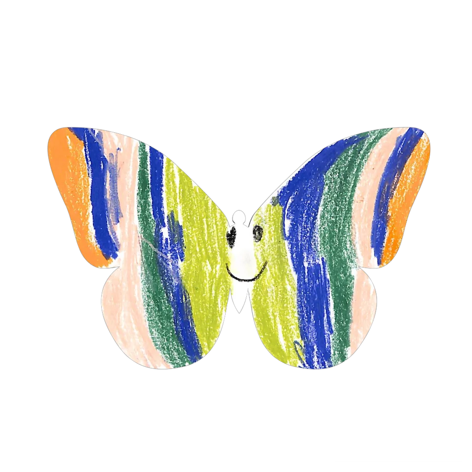 Original Butterfly Image