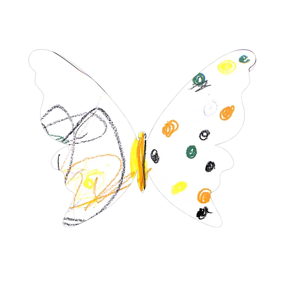 Original Butterfly Image